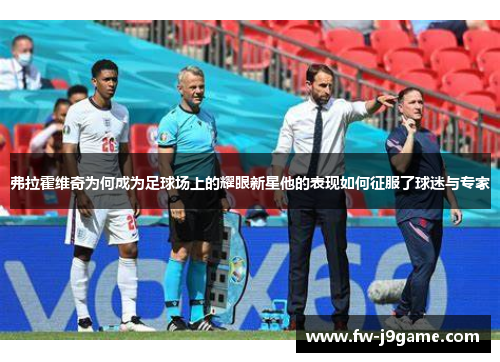 弗拉霍维奇为何成为足球场上的耀眼新星他的表现如何征服了球迷与专家 弗拉霍维奇为何成为足球场上的耀眼新星他的表现如何征服了球迷与专家